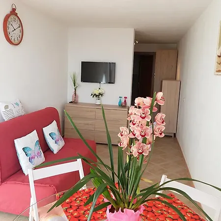 Residence Bella Vista With Panoramic Swimming Pool Apartment Trinita d'Agultu e Vignola