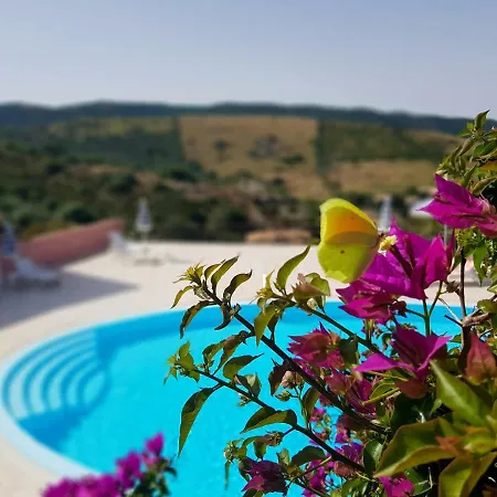 Apartamento Residence Bella Vista With Panoramic Swimming Pool Trinità dʼAgultu