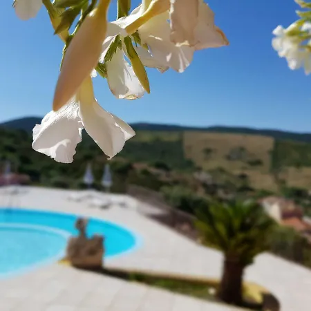 Residence Bella Vista With Panoramic Swimming Pool Trinita d'Agultu e Vignola